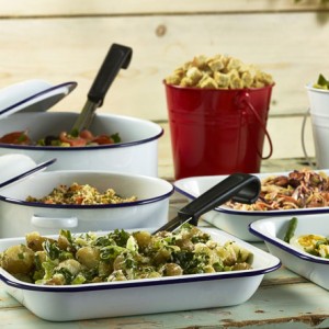 Enamelware & Stainless Steel Serving Ware