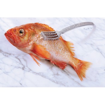 Fish Scaler
