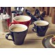 Royal Genware Coloured Tulip Cups Royal Genware Coloured Tulip Cups