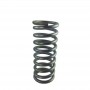 Tellier Moulin Replacement Spring P10