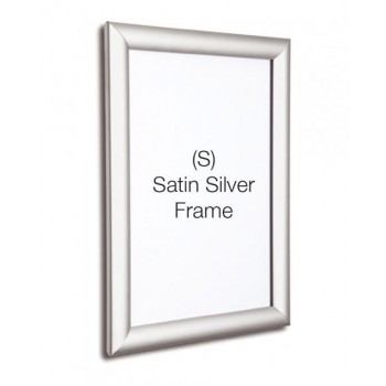Silver Snap Frame