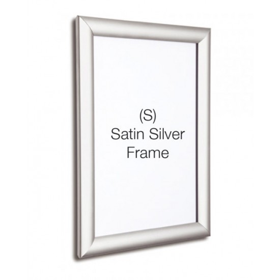 Silver Snap Frame