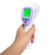 Infrared Thermometer DT8826