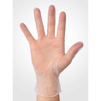 Vinyl Gloves Clear Powder Free