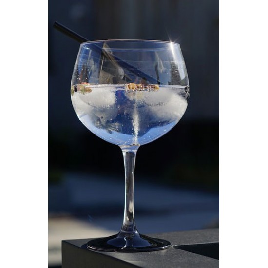 Arcoroc Juniper Gin Glass (Box 6)