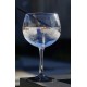 Arcoroc Juniper Gin Glass (Box 6)